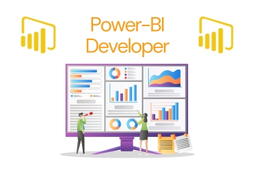 Power-BI Developer